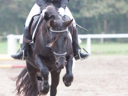 IMG_7989_web